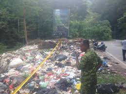 With more than 30,000 restaurants in 500+ cities, food delivery or takeout is just a click away. Mps To Issue Notice To Foodpanda Organises Gotong Royong To Clear Illegal Dumpsite The Star
