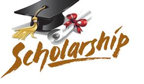 Merit Scholarships