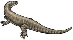Image result for Tanystropheus