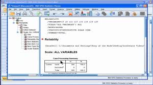 Cronbach S Alpha Spss Part 1 Cronbach S Alpha Education Spss Statistics