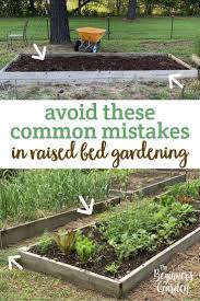 7 Common Mistakes In Raised Bed Gardening The Beginner S Garden Vegetable Garden Raised Beds Raised Vegetable Gardens Diy Raised Garden