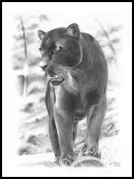Black Panther Black Panther Art Black Panther Drawing Black Panther