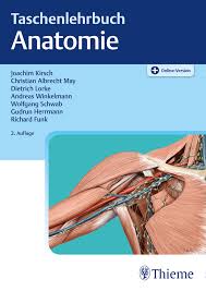 Inklusive 12 monate anatomie in via medici und dem lernposter anatomie. Taschenlehrbuch Anatomie 9783131449924 Thieme Webshop
