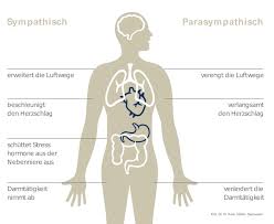 Depression Behandlung Symptome Arten Spezialisten