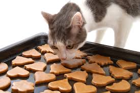 Maybe you would like to learn more about one of these? Katzenkekse Backen Ideen Rezepte Aufbewahrung Zooplus
