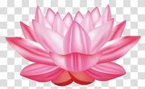 Pin On Lotus Flower Drawing