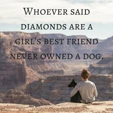 They're meaningful quotes about dogs being family and your best friend and by the way, they would be great dog quotes for instagram for all your instagram junkie friends. Four Legged Inspiration Dog Quotes My Cup Of Cocoa