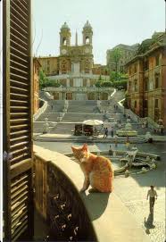 Spanish Steps Rome Italya Kedi Seyahat