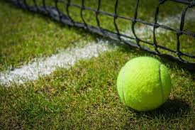 Tennis Ball Close Up Near The Net On A Grass Court With A White Marking Ad Close Net Tennis Ball White Ad Tennis Ball Tennis Ball