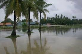 Department Of Geography Cambridge Recent News