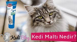 Kedi Malti Nedir Malt Pasta Ne Ise Yarar Kedi Malti Satin Al
