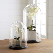 Alibaba.com offers 1,748 large glass cloche products. Huge Garden Terrarium Bell Shape Glass Cloche Perfect Home Decor Glasszhao