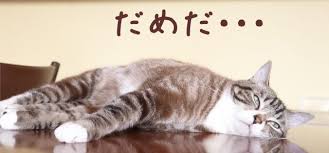 もたもた 私刑執行人 探すの面倒だから助かる ええんやで(ニッコリ) 俺は嫌な思いしてないから なじみくんいじめにまけないでね 映画のタイトル. Zs4sweieczwwvm