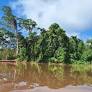 Pueblos amazónicos declaran nulo convenio con grupo Kailasa
