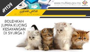 Simak tulisan artikel di bawah ini. Pejabat Mufti Wilayah Persekutuan Al Kafi 1139 Bolehkah Bertemu Kucing Kesayangan Di Syurga