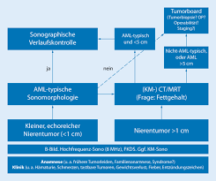 Erratum zu: CEUS