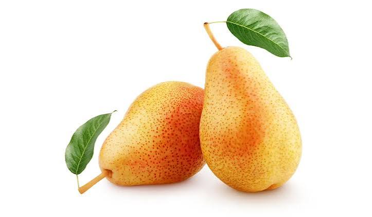 نهال گلابی تک شاخ