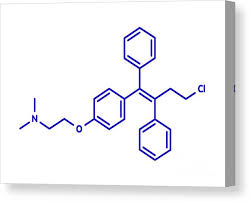 Image result for Selective Estrogen Receptor Modulator