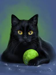 403 Forbidden Cute Cat Gif Black Cat Art Animals
