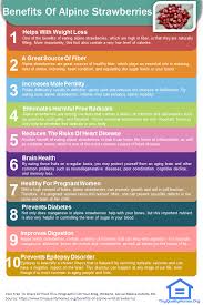 21 Benefits Of Alpine Wild Strawberries Valerian Root Health Benefits Theanine