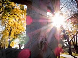 Historic american landscapes survey, creator. The Park Next Door Calvary Cemetery Milwaukee Wi The Park Next Door