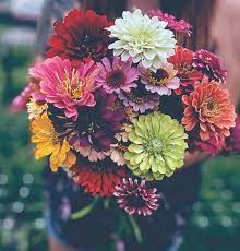 You can't help but smile. Why You Should Buy Locally Grown Flowers The Spectator