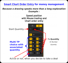Smart Chart Order Entry For Money Management Ptmc Feature