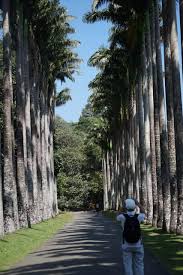 Takes into account daylight saving time (dst). Lorong Halus Wetland Travel Guidebook Must Visit Attractions In Singapore Lorong Halus Wetland Nearby Recommendation Trip Com