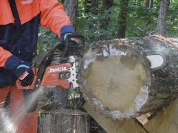 It is lightweight and optimized for easy starting, handling, and maintaining. Makita Ridgeline 18 Chainsaw Ea5600freg Ope Reviews