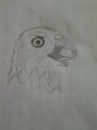 10 Year Old Girl Drawing Of A Bald Eagle Girl Drawing Sketches Drawings The idea is to see how accurate the drawing can be, when recreated without seeing. old girl drawing of a bald eagle