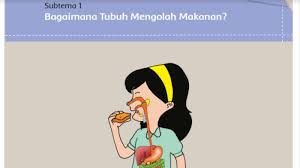 Kunci Jawaban Buku Tematik Sd Kelas 5 Tema 3 Makanan Sehat Subtema 1 Pembelajaran 1 Halaman 2 11 Tribunnews Com Mobile