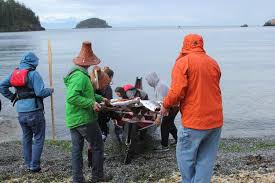 Tribe urges stronger commitment to orcas