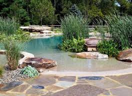 Der Okologische Schwimmteich Im Garten Naturliche Wasserreinigung Hinterhof Strand Kleiner Pool Design Schwimmteich