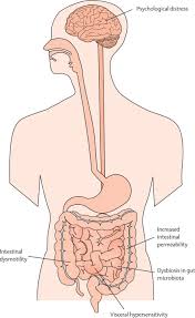 Katherine mcauley, 36, even gave birth to her daughter rosie as i had symptoms before i fell pregnant with rosie and was diagnosed with ibs. The Overlap Between Irritable Bowel Syndrome And Organic Gastrointestinal Diseases Sciencedirect