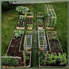 Organic Gardening Gened Organic Gardening With Raised Beds Organic Cardboard Boxes Vegetable Garden Design Garden Layout Vegetable Garden For Beginners