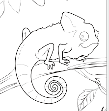 More 100 coloring pages from animal coloring pages category. Charmeleon Coloring Pages Novocom Top