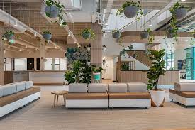 Uber Greenlight Hub Offices Brisbane Office Snapshots Office Design Inspiration Plant Office Design Green Office Decor