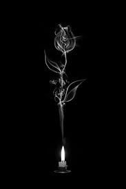 Black Background With Rose Image Result For Black Background Painted Roses With Thorns Pics Black Background Painting Flowers Black Background Rose Painting