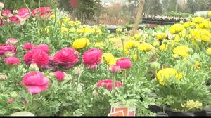 Hours may change under current circumstances It S Time To Start Planning Those Gardens In Western Montana