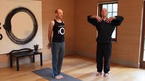 Yin yoga poses for the lungs/large intestines meridian: Zen Yoga For Autumn Lung Large Intestine Meridians Mini Movement Sequence With Daizan Roshi Youtube