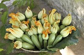 I love to share garden ideas , and this one is so important! Zucchini Harvest Taste Of Beirut