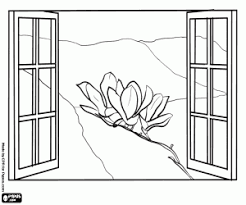 Ausmalbilder Magnolie Im Fruhjahr Durch Ein Fenster Zum Ausdrucken