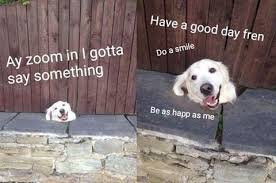 Henlo Frens As A New Week Begins I Hope Everyone Stays Positive And B Happy Always 3 Wholesome Memes Funny Animals Funny Memes