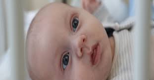 NGO Me Dhe Për Fëmijët Begins The Awareness Campaign For Abandoned