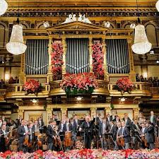 Vienna Philharmonic Orchestra New Year S Concert I Was There But Not At The New Year With Images Vienna Christmas Vienna Philharmonic Honeymoon Pictures