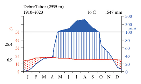 Image result for Scepocarpus hypselodendron