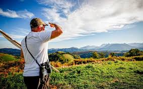 Chasse dans les Pyrénées-Atlantiques : infos locales et actualités