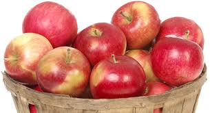 Image result for apples