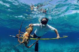 It is used for spear fishing and historically as a polearm. Spearfishing For Beginners The Complete Guide