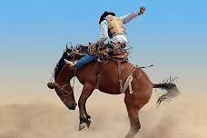 Hub City Rodeo